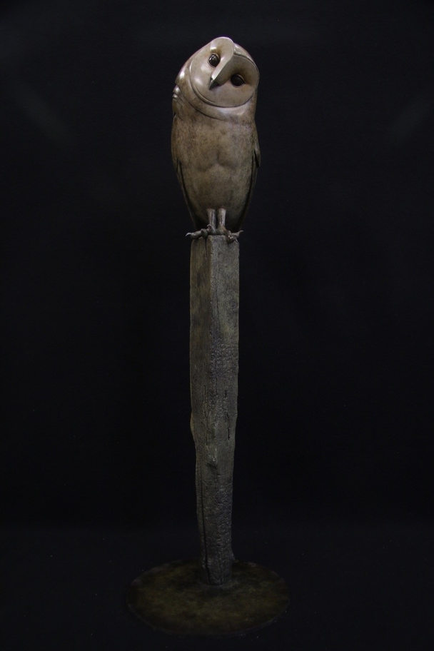 Barn Owl on Short Post (Edition 6/12)