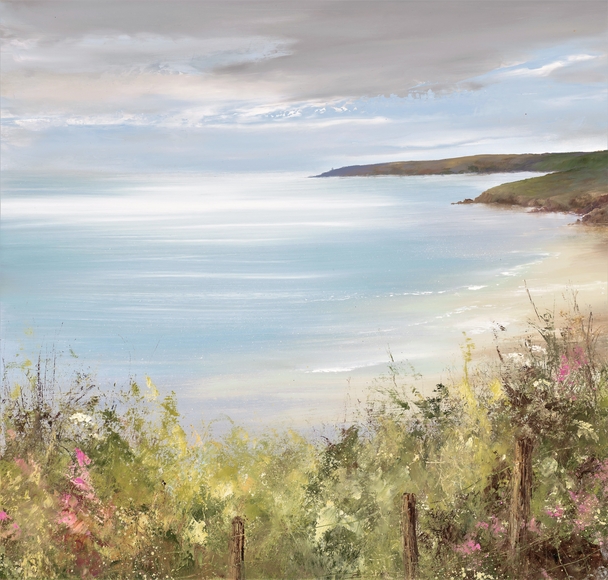 AMANDA HOSKIN - stunning light across the bay, start point, devon