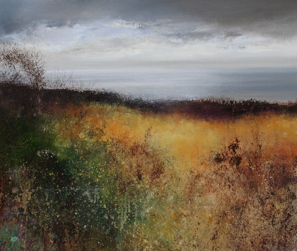 AMANDA HOSKIN - light fills the bay on the coastal path 