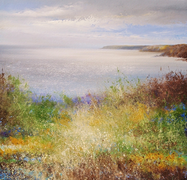 AMANDA HOSKIN - setting sun, view from nare head