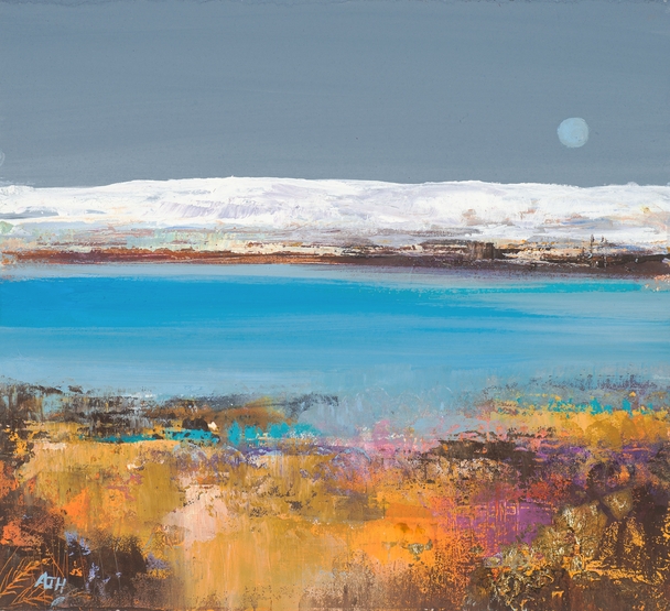AMANDA HOSKIN - winter moon, fife