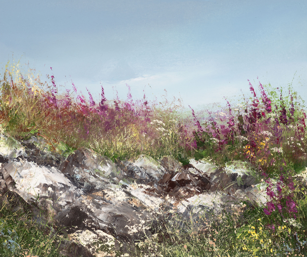 AMANDA HOSKIN - summer foxgloves on st martins, scillies