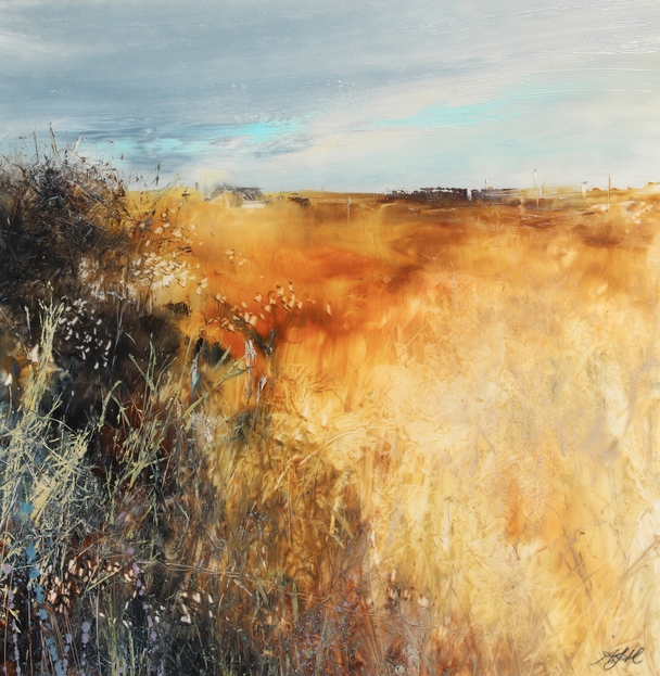 AMANDA HOSKIN - golden fields, cornwall