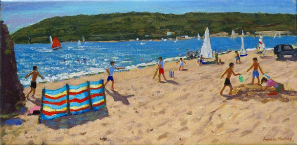 ANDREW MACARA - cricket and sandcastles, abersoch