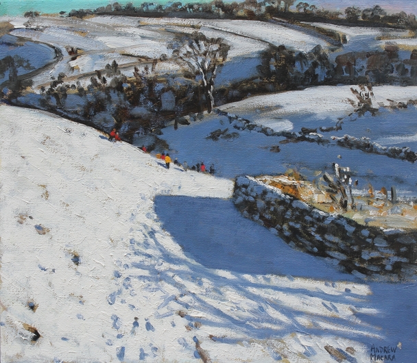 ANDREW MACARA - winter walk, monyash, derbyshire 