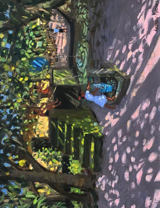 ANDREW MACARA  - well and bridge, cochin, india