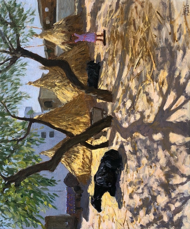 ANDREW MACARA  - farmyard swing, india