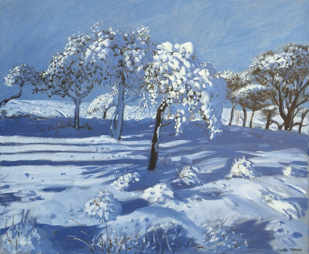 ANDREW MACARA  - winter, ladmanlow, high peak, derbyshire