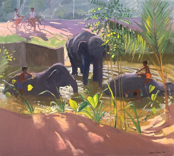 Washing Elephants, Sri Lanka