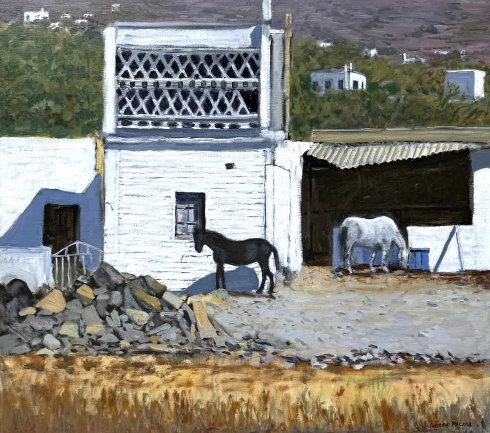 Black and White Horses, Naxos, Greek Islands