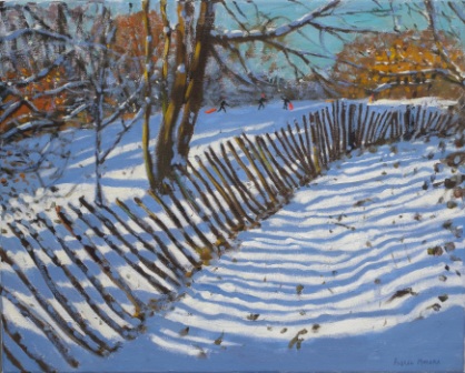 ANDREW MACARA  - leaning fence, allestree park 