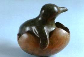 Emerging Penguin Chick