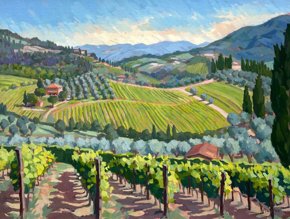 Vineyards above Montefioralle, Tuscany