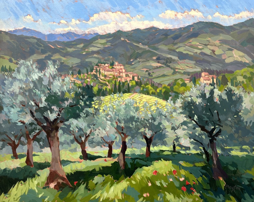 Olive Groves above Montefioralle