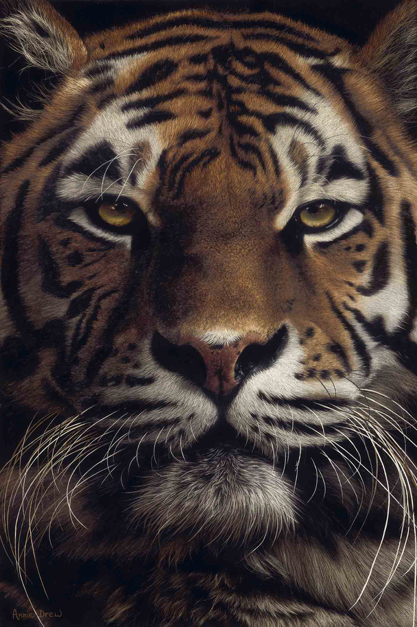 ANNIE DREW - burning bright