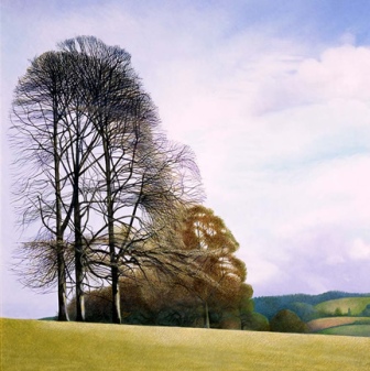ANNIE OVENDEN - february morning in lanhydrock park