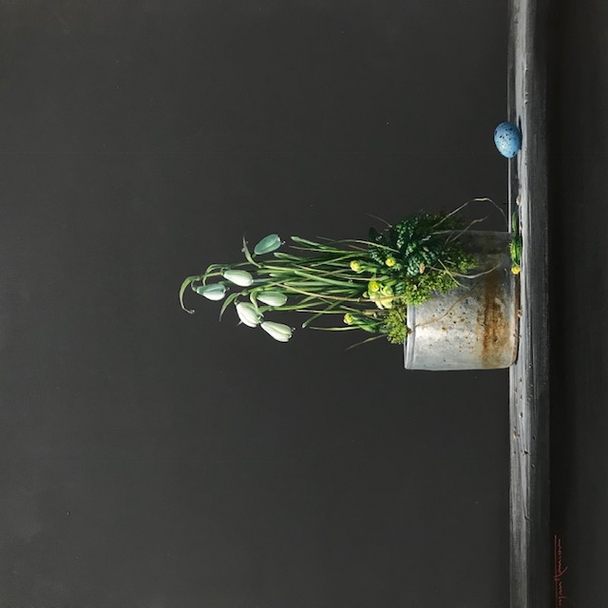 BRYAN HANLON - snowdrops, primroses and thrushes egg
