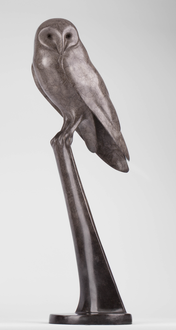 Barn Owl Resting (Edition 18/25)