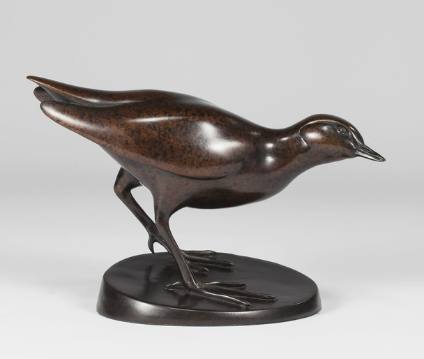 Spotted Crake (6/25)