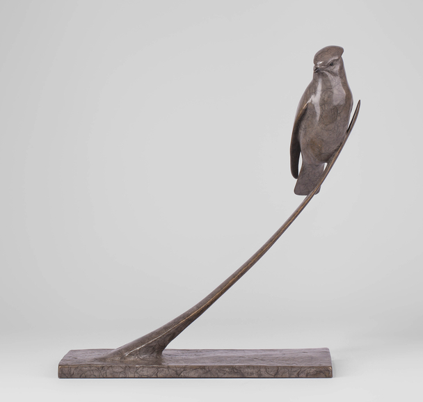 CARL LONGWORTH - waxwing