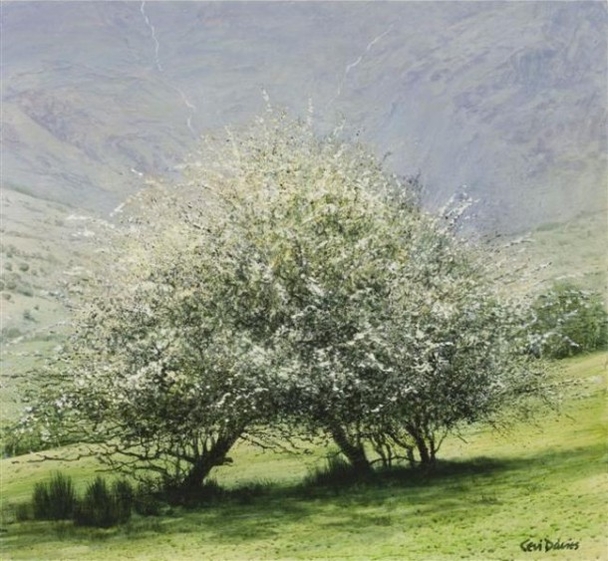 CERI AUCKLAND DAVIES - route to the arrans