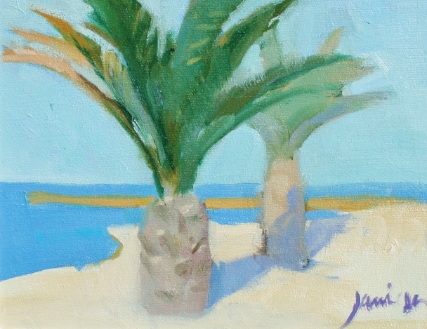 Seaside Palms, Le Marche