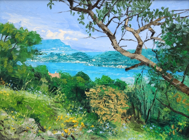 View of Cap Ferrat