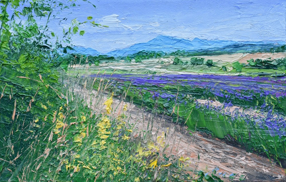 British Artist COLIN CARRUTHERS - Lavender, Provence