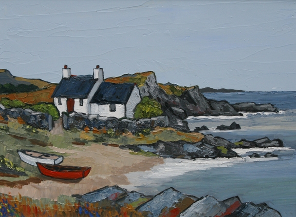 David Barnes - north lleyn 