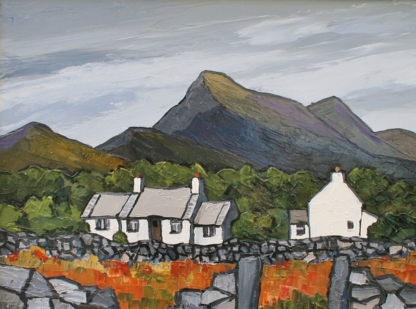 David Barnes - cottages near porth madoc