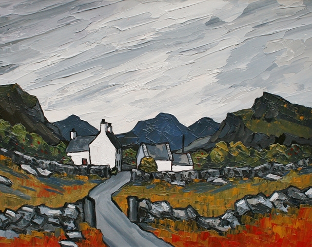 DAVID BARNES - farm in the rhiniogs