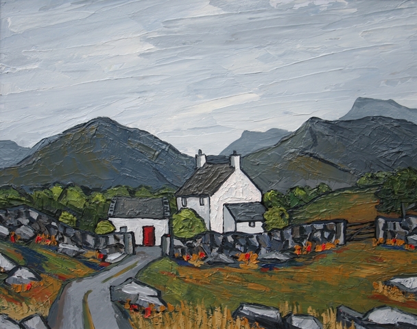 DAVID BARNES - hill farm in gwynedd