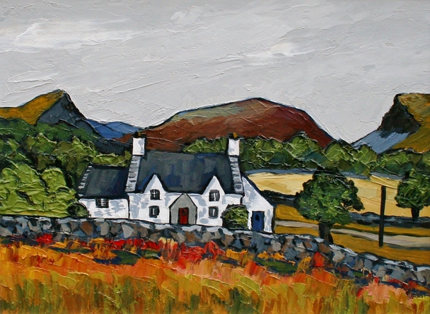 DAVID BARNES - cottage in the moelwyns