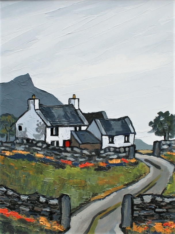 DAVID BARNES - farm in the rhiniogs