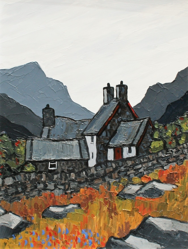 DAVID BARNES - hill farm near hebog