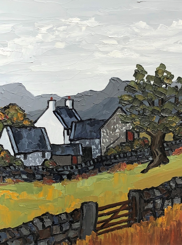 DAVID BARNES - farm in gwynedd
