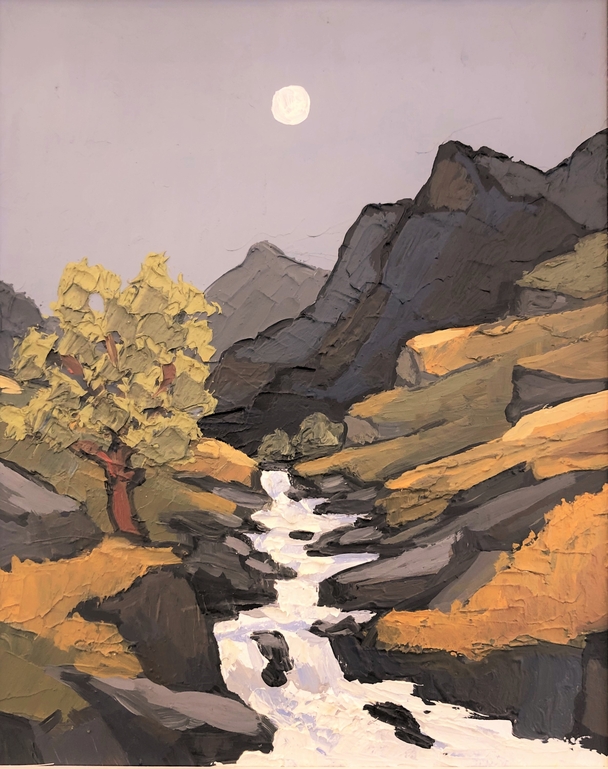DAVID BARNES - carneddau stream