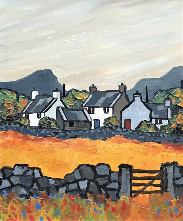 DAVID BARNES - meirionnydd cottages