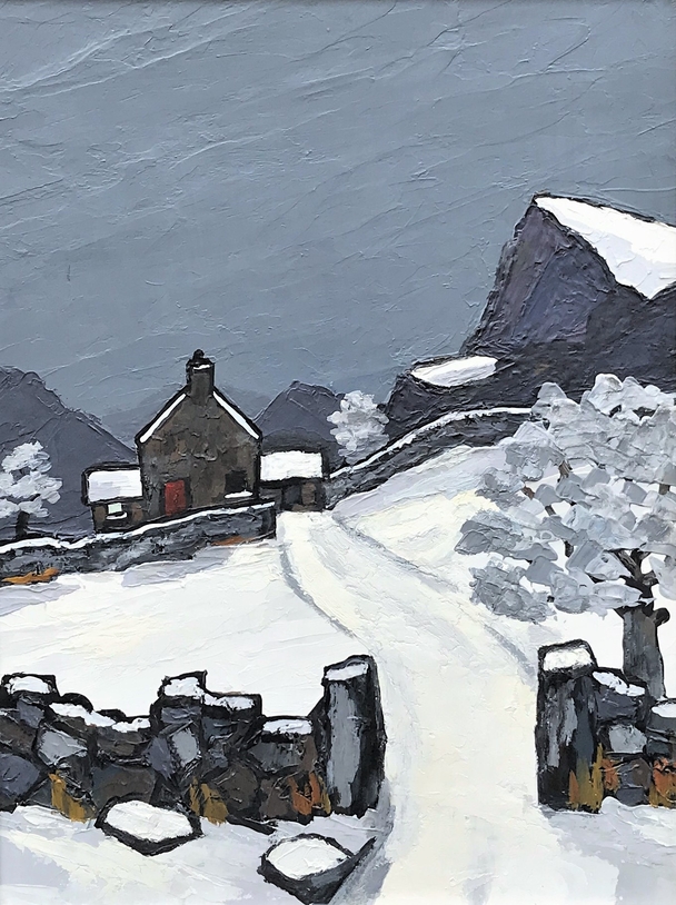 DAVID BARNES - carneddau in winter