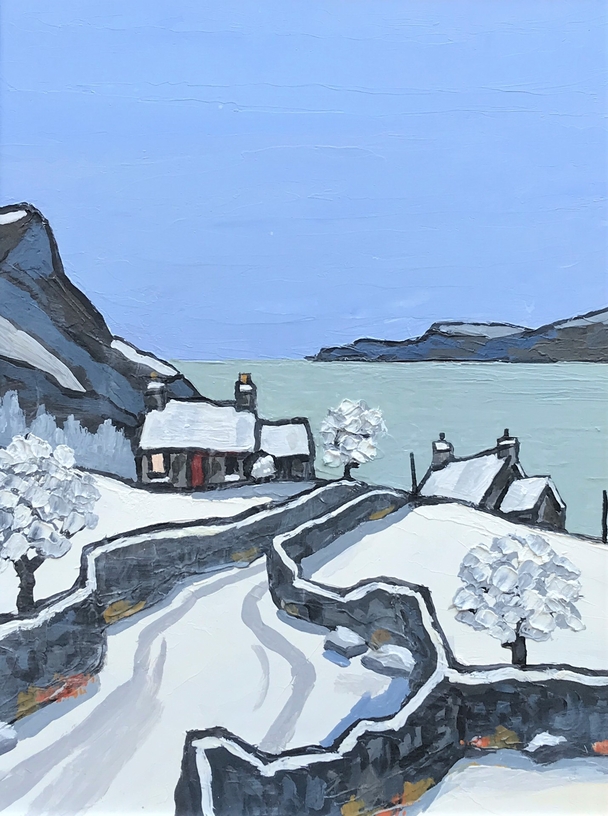 DAVID BARNES - cardigan bay in winter