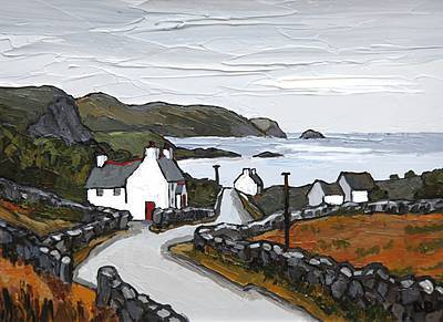 DAVID BARNES - the lleyn