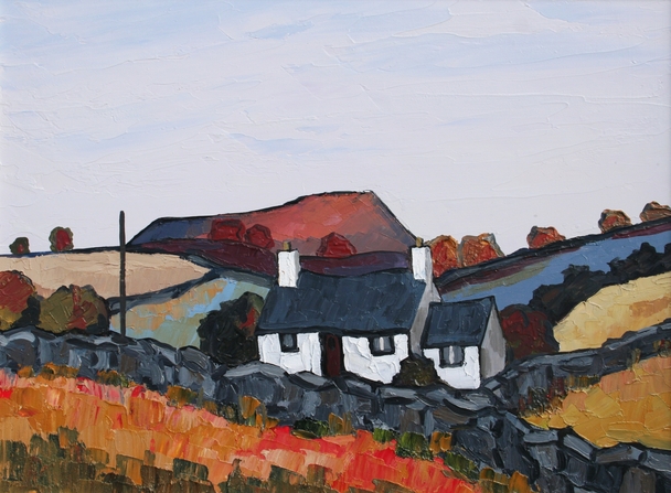 David Barnes - autumn in the lleyn