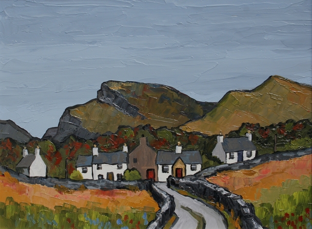 David Barnes - cottages near blaenau 