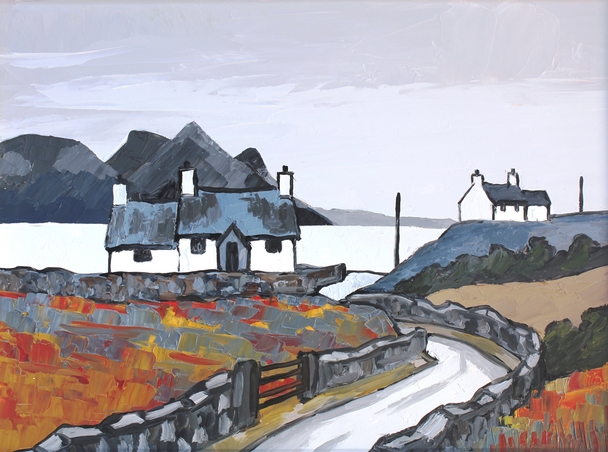David Barnes - near trefor