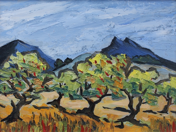 David Barnes - olive trees in tuscany