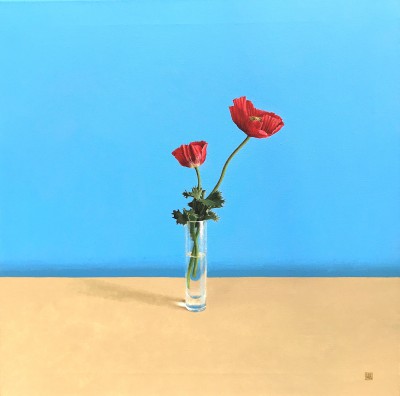 DAVID GLEESON - poppies