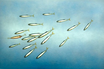 DONALD PROVAN - imitation