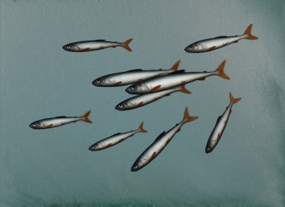 DONALD PROVAN - shoal of nine