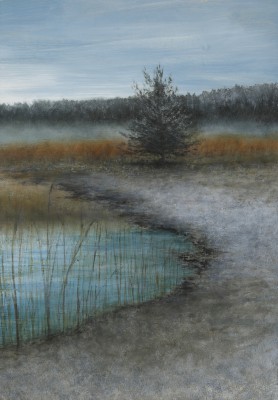 DONALD PROVAN - frost