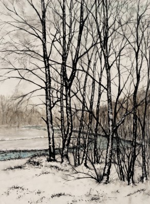 Winter Trees